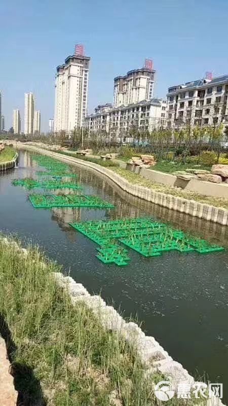快速型废物处理机，让环保生活更轻松